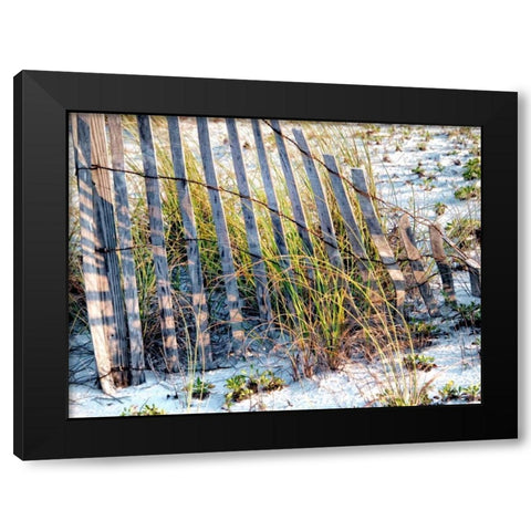 Sea Oats I Black Modern Wood Framed Art Print by Head, Danny