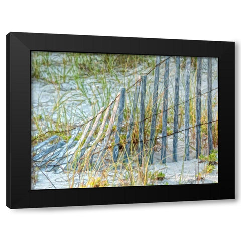 Sea Oats II Black Modern Wood Framed Art Print by Head, Danny