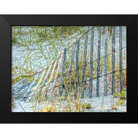 Sea Oats II Black Modern Wood Framed Art Print by Head, Danny