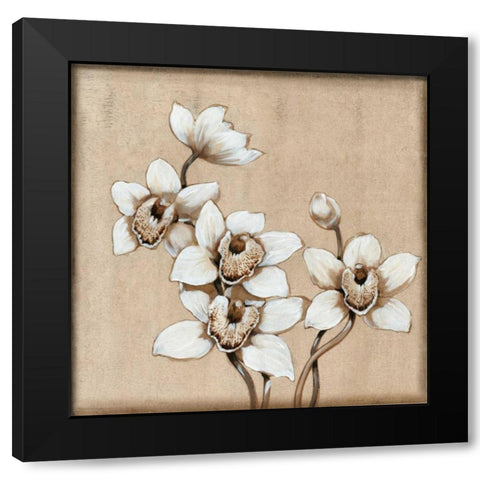 White Orchid I Black Modern Wood Framed Art Print with Double Matting by OToole, Tim