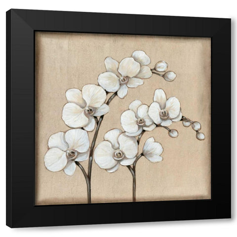 White Orchid II Black Modern Wood Framed Art Print with Double Matting by OToole, Tim