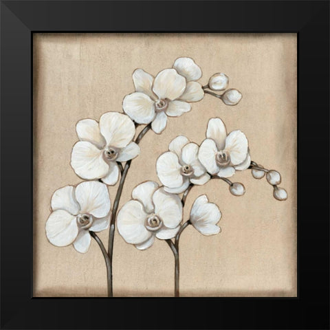 White Orchid II Black Modern Wood Framed Art Print by OToole, Tim