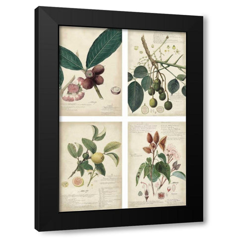 Mini Descubes Black Modern Wood Framed Art Print by Descubes, A.