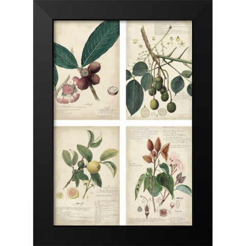 Mini Descubes Black Modern Wood Framed Art Print by Descubes, A.
