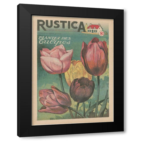Plantez Des Tulips Black Modern Wood Framed Art Print with Double Matting by Unknown