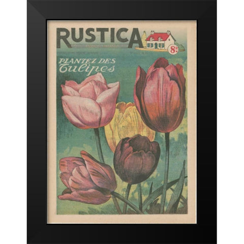 Plantez Des Tulips Black Modern Wood Framed Art Print by Unknown