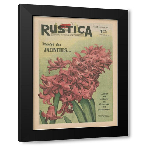 Plantez Des Jacinthes Black Modern Wood Framed Art Print by Unknown