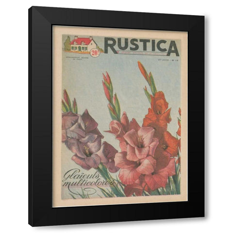 Plantez Des Glaieuls Black Modern Wood Framed Art Print by Unknown