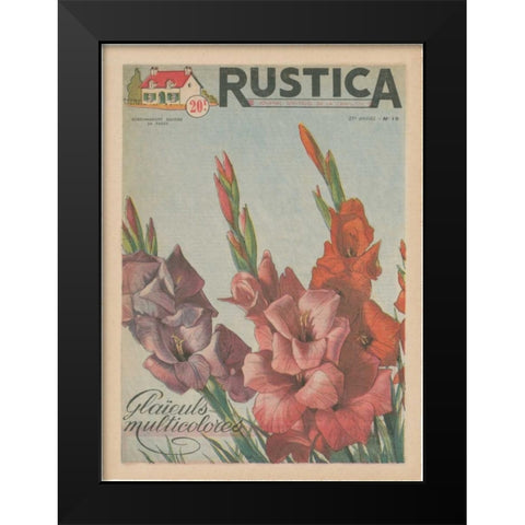 Plantez Des Glaieuls Black Modern Wood Framed Art Print by Unknown