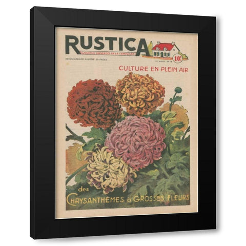 Plantez Des Chrysanthemes Black Modern Wood Framed Art Print with Double Matting by Unknown