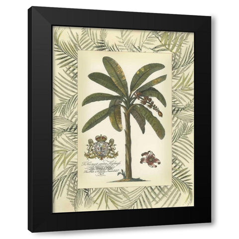 Palm in Bamboo Frame II Black Modern Wood Framed Art Print with Double Matting by Vision Studio