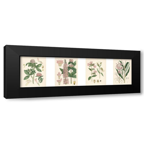 Pink Botanicals Black Modern Wood Framed Art Print by Unknown