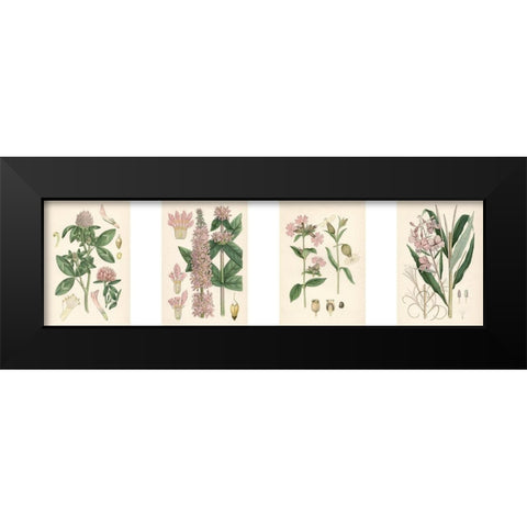Pink Botanicals Black Modern Wood Framed Art Print by Unknown