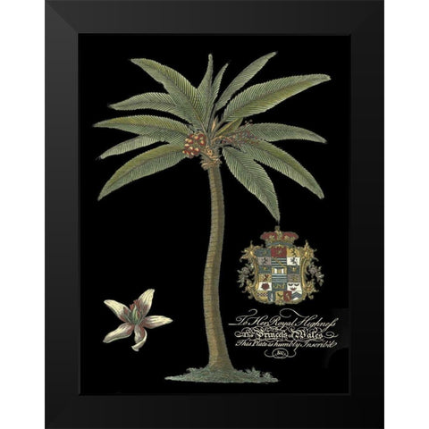 Palm on Black I Black Modern Wood Framed Art Print by Unknown