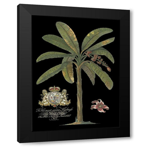 Palm on Black II Black Modern Wood Framed Art Print with Double Matting by Unknown