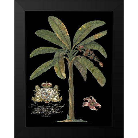Palm on Black II Black Modern Wood Framed Art Print by Unknown