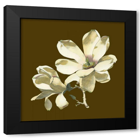 Magnolia on Taupe I Black Modern Wood Framed Art Print by Unknown