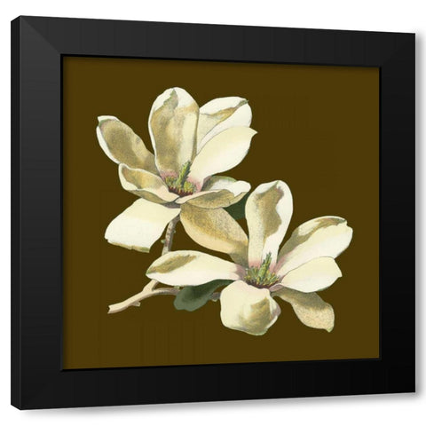 Magnolia on Taupe II Black Modern Wood Framed Art Print with Double Matting by Unknown