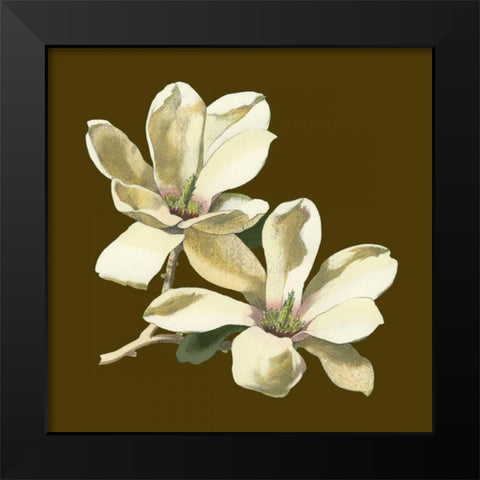 Magnolia on Taupe II Black Modern Wood Framed Art Print by Unknown