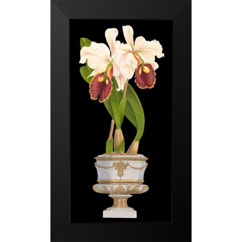 Orchids in Silver I Black Modern Wood Framed Art Print by Vision Studio