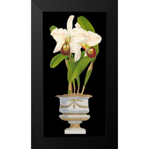 Orchids in Silver II Black Modern Wood Framed Art Print by Vision Studio