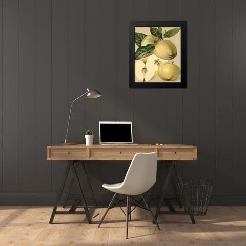 Apple Harvest II Black Modern Wood Framed Art Print by Unknown