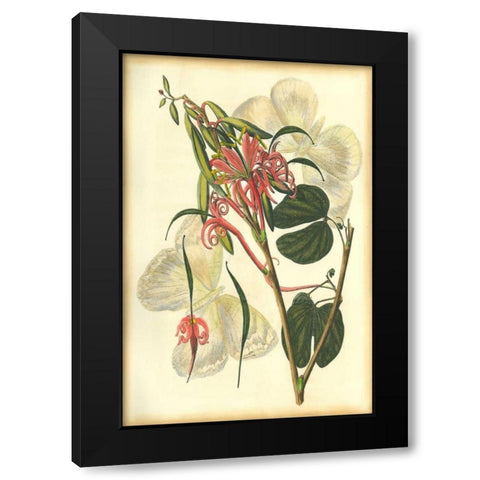 Floral Fantasia I Black Modern Wood Framed Art Print by Unknown
