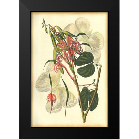 Floral Fantasia I Black Modern Wood Framed Art Print by Unknown
