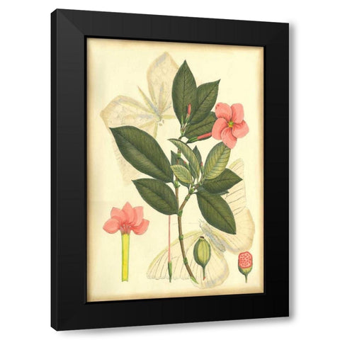 Floral Fantasia II Black Modern Wood Framed Art Print by Unknown