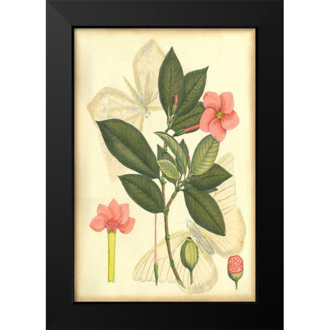 Floral Fantasia II Black Modern Wood Framed Art Print by Unknown