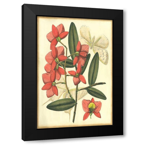 Floral Fantasia III Black Modern Wood Framed Art Print by Unknown