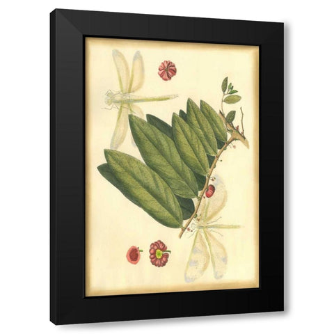Floral Fantasia V Black Modern Wood Framed Art Print with Double Matting by Unknown