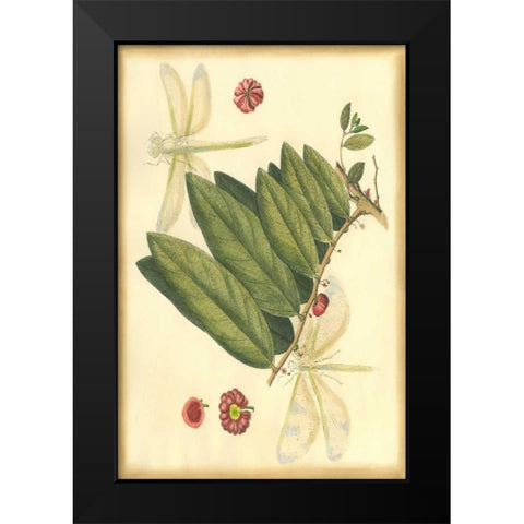 Floral Fantasia V Black Modern Wood Framed Art Print by Unknown