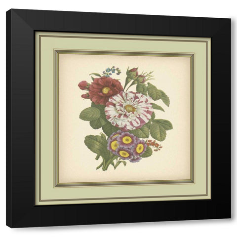 Tuscany Bouquet X Black Modern Wood Framed Art Print with Double Matting by Unknown