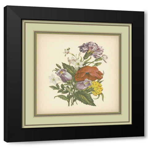 Tuscany Bouquet XI Black Modern Wood Framed Art Print with Double Matting by Unknown