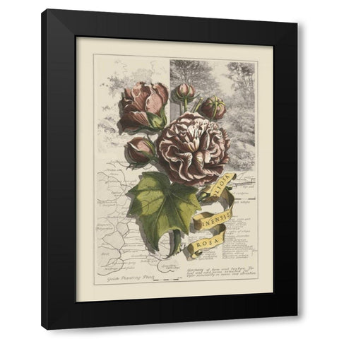 Garden in June I Black Modern Wood Framed Art Print by Bookman, D.