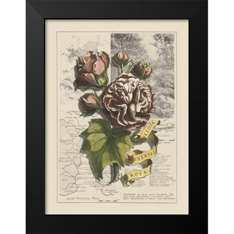 Garden in June I Black Modern Wood Framed Art Print by Bookman, D.