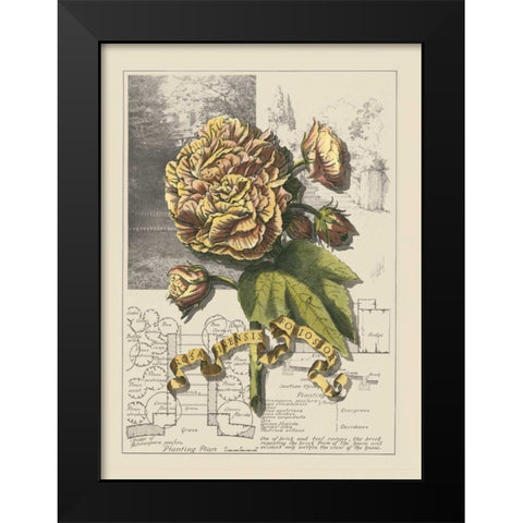 Garden in June II Black Modern Wood Framed Art Print by Bookman, D.
