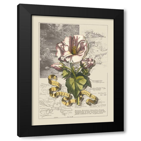 Garden in June III Black Modern Wood Framed Art Print by Bookman, D.