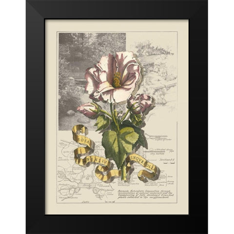 Garden in June III Black Modern Wood Framed Art Print by Bookman, D.