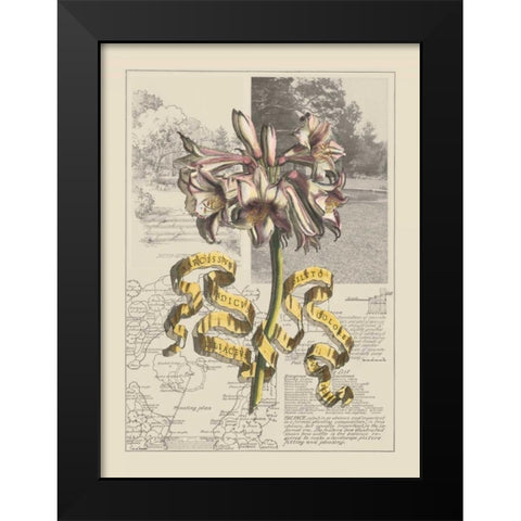 Garden in June IV Black Modern Wood Framed Art Print by Bookman, D.