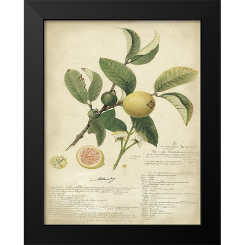 Descube Botanical I Black Modern Wood Framed Art Print by Descubes, A.