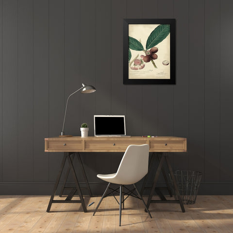 Descube Botanical IV Black Modern Wood Framed Art Print by Descubes, A.