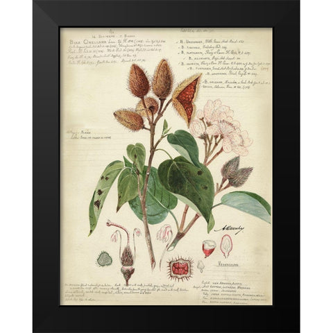 Descube Botanical V Black Modern Wood Framed Art Print by Descubes, A.