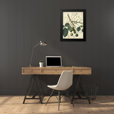 Descube Botanical VI Black Modern Wood Framed Art Print by Descubes, A.