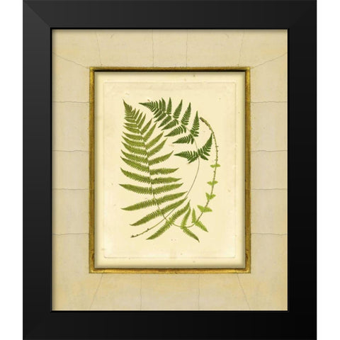 Fern with Crackle Mat III Black Modern Wood Framed Art Print by Unknown