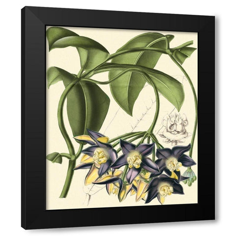 Exotic Foliage III Black Modern Wood Framed Art Print by Vision Studio
