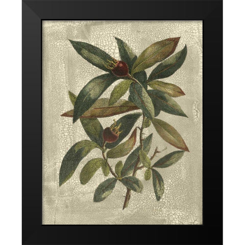 Printed Deshayes Trees III Black Modern Wood Framed Art Print by Vision Studio