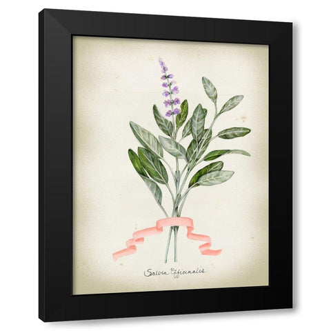 Herb Series I Black Modern Wood Framed Art Print with Double Matting by Goldberger, Jennifer