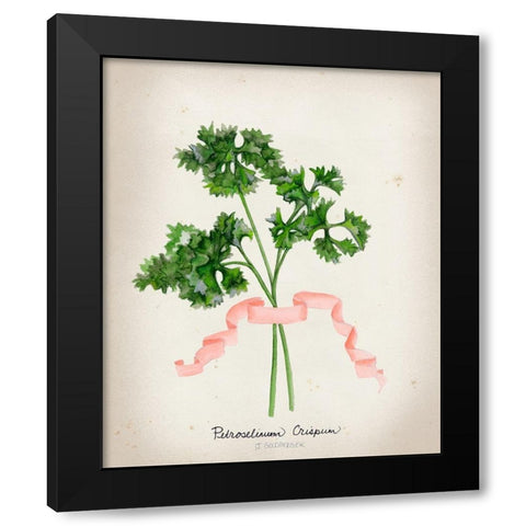 Herb Series II  Black Modern Wood Framed Art Print with Double Matting by Goldberger, Jennifer